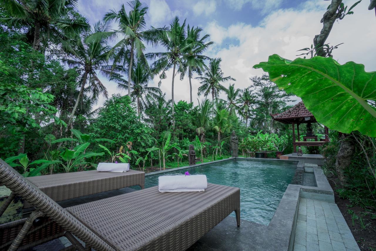 Vinayaka Ubud Luaran gambar