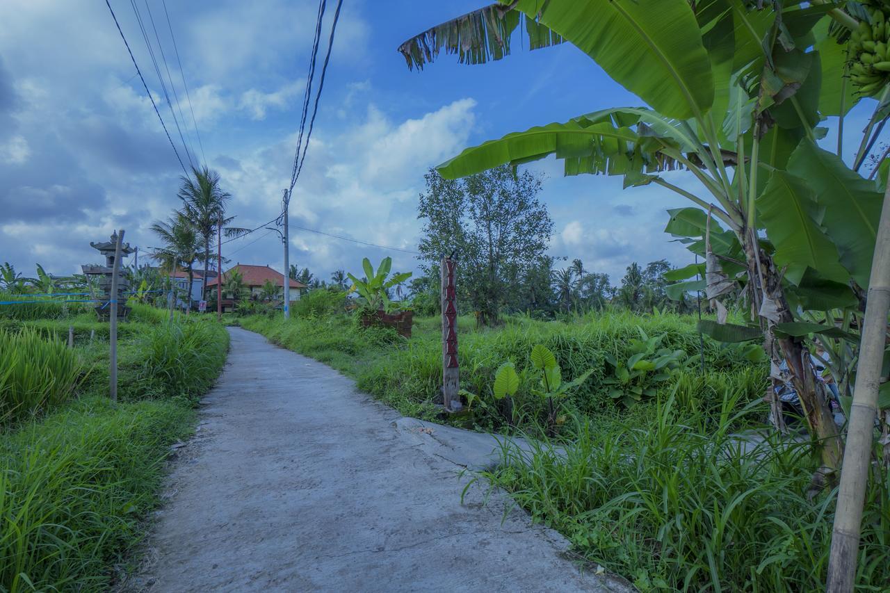 Vinayaka Ubud Luaran gambar
