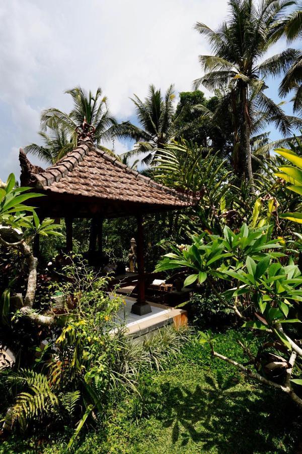 Vinayaka Ubud Luaran gambar
